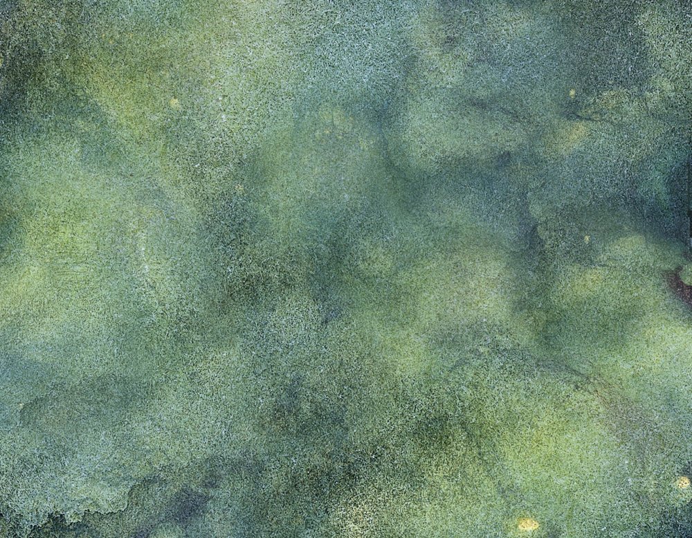 Текстура травы бесшовная генплан