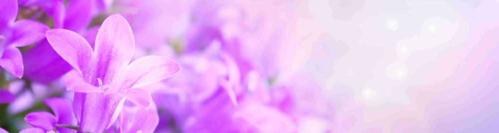 Скинали сиреневые цветы