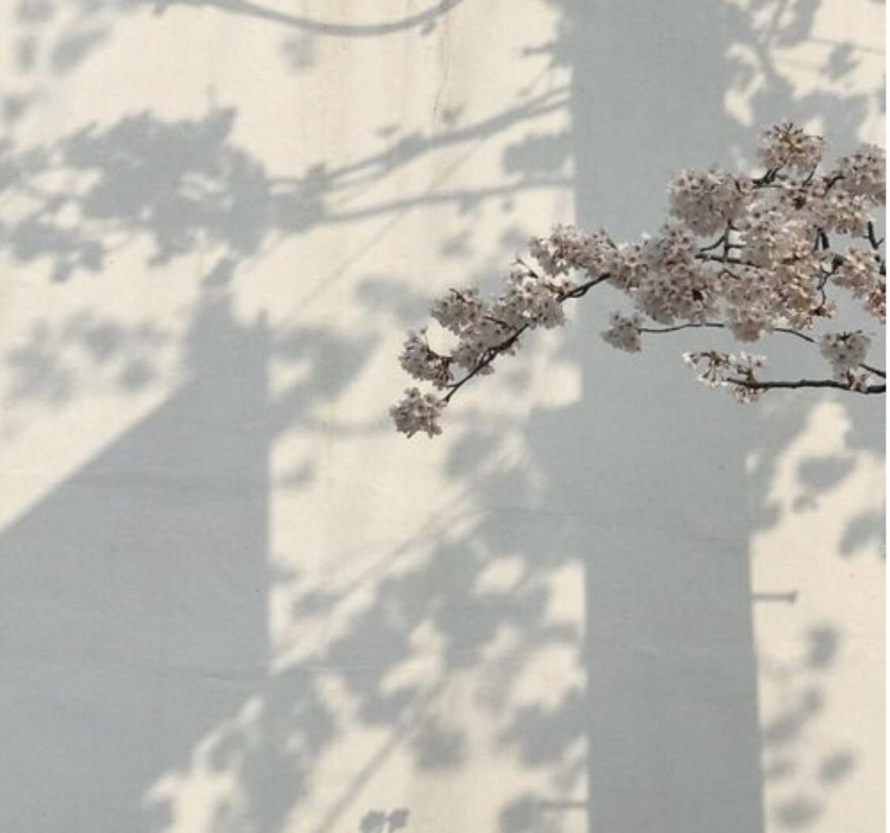 Эстетика серого и бежевого цвета