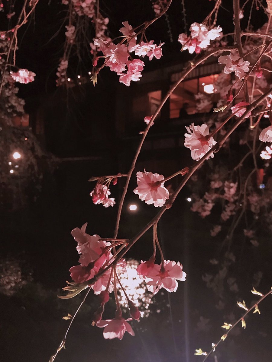 Эстетика Гром Сакура