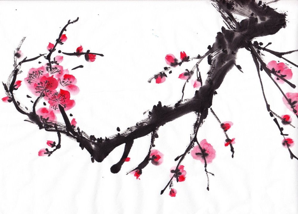 Ветка Сакуры рисунок