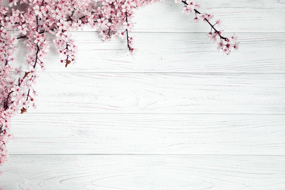 Фотофон Сакура