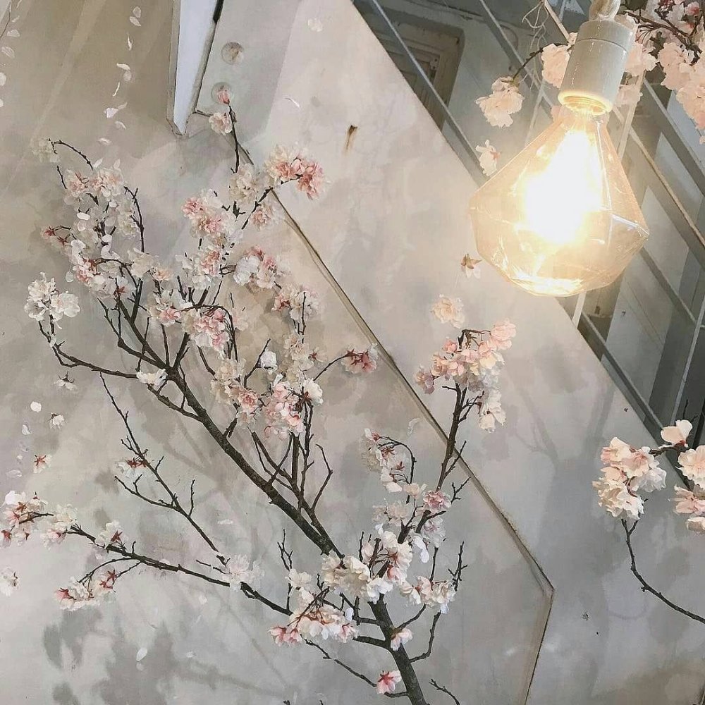 Серо розовая Эстетика