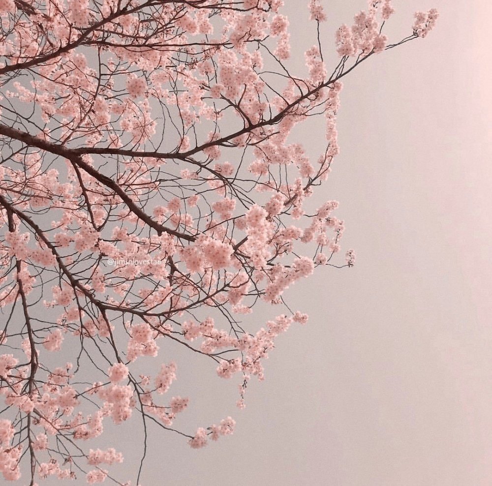 Бежево розовая Эстетика