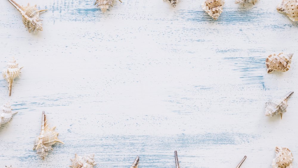 Красивый морской фон для текста