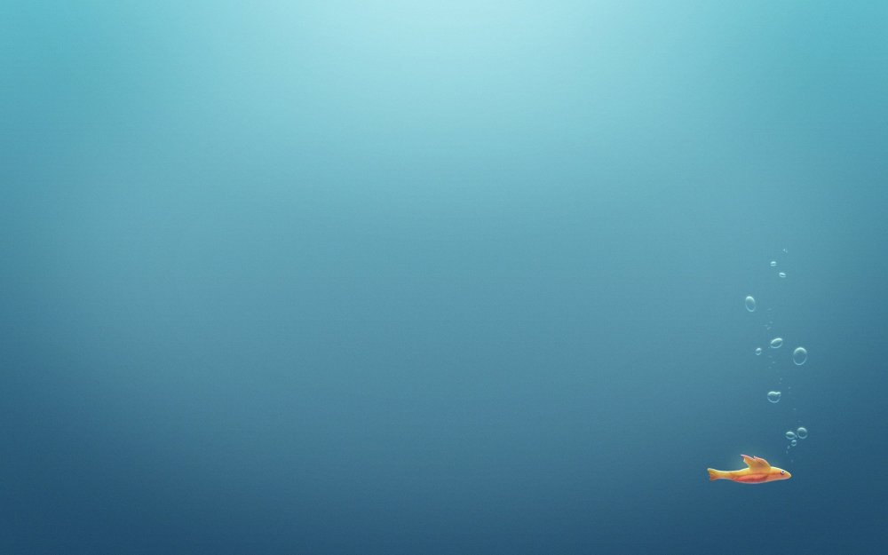 Морской фон для презентации