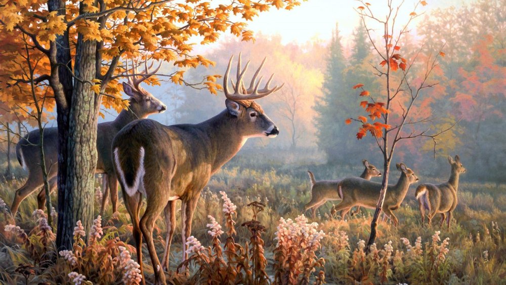 Фридрих Кесслер олени в лесу