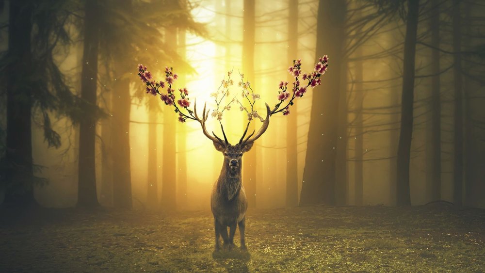 Волшебный олень