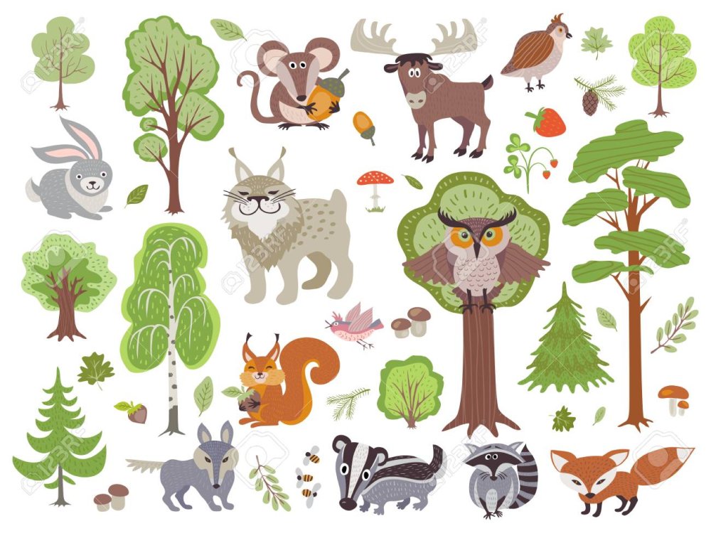 Лесные жители векторные