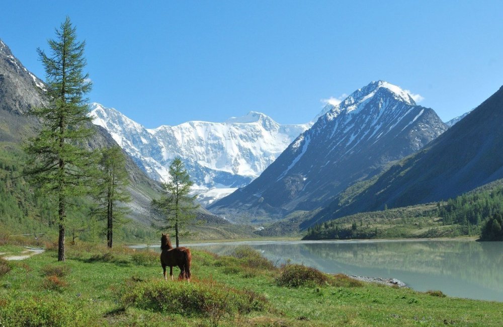 Золотые горы Алтая природный парк Белуха
