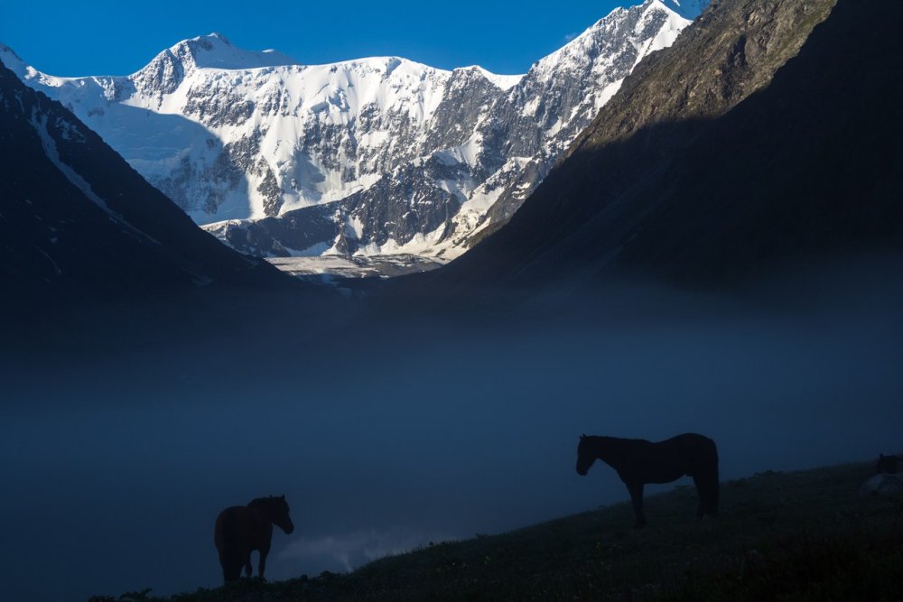Гора Белуха горный Алтай санаторий