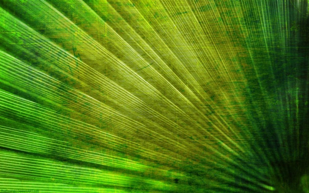 Зеленый ребристый фон