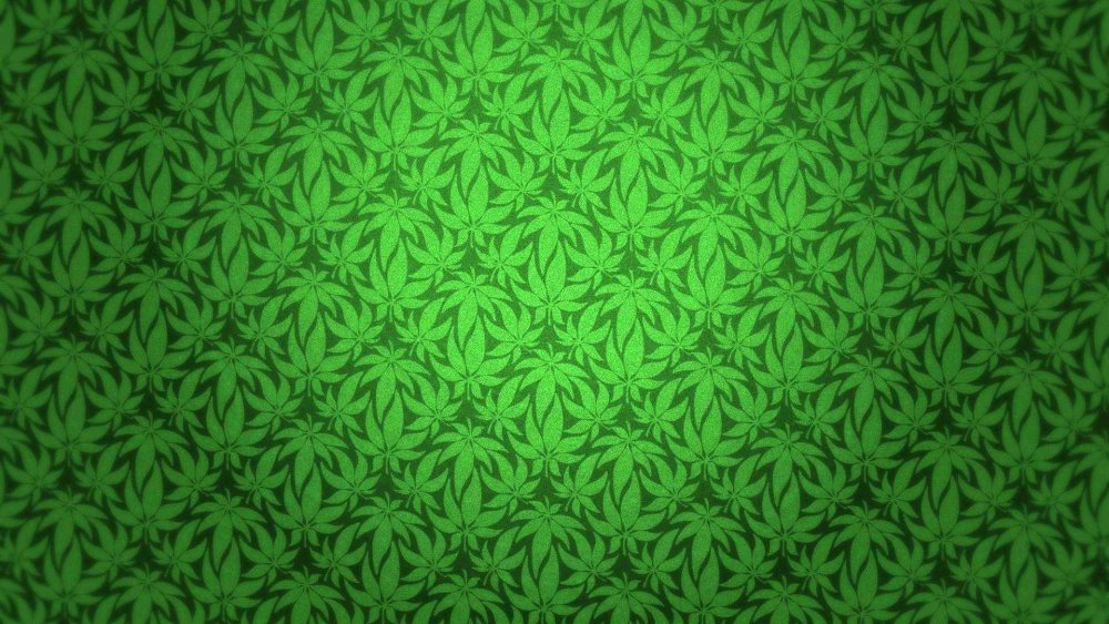 Конопля фон