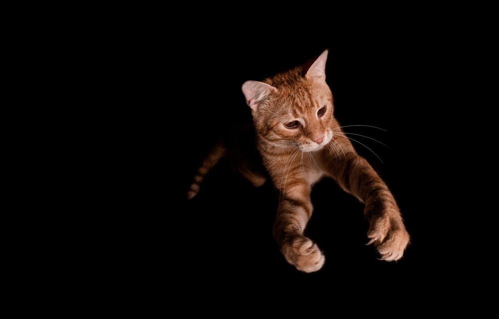 Фоны для рабочего стола минималистичные