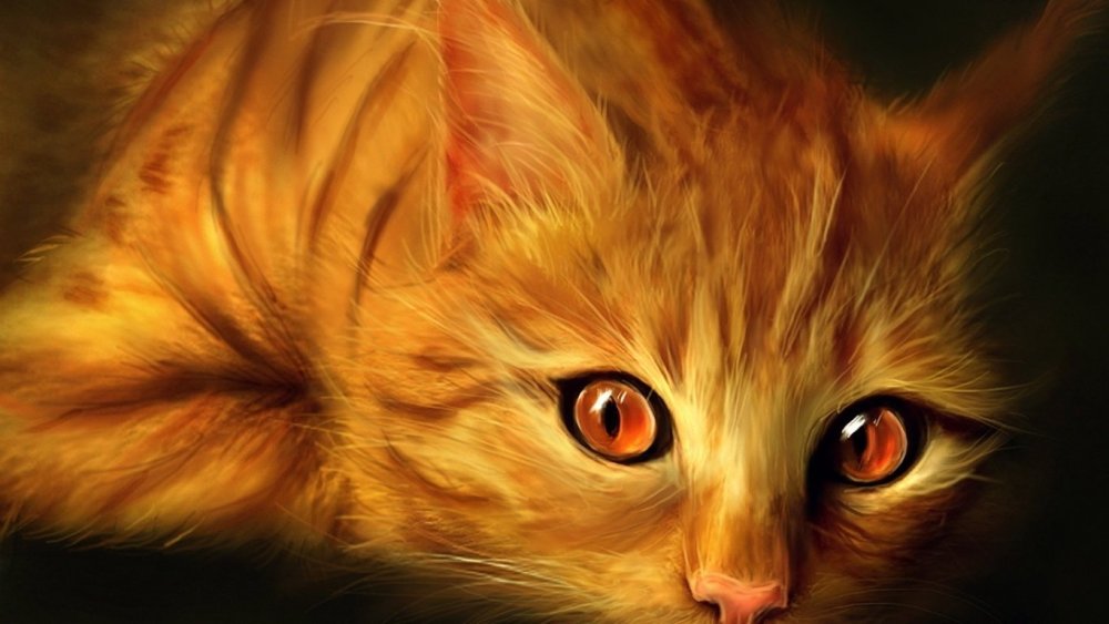 Рыжая кошка арт