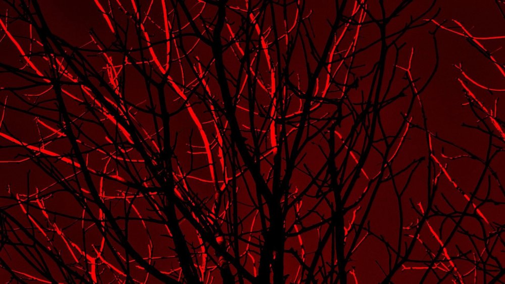 Черный фон Эстетика