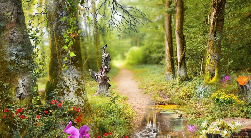 Сказочный лес