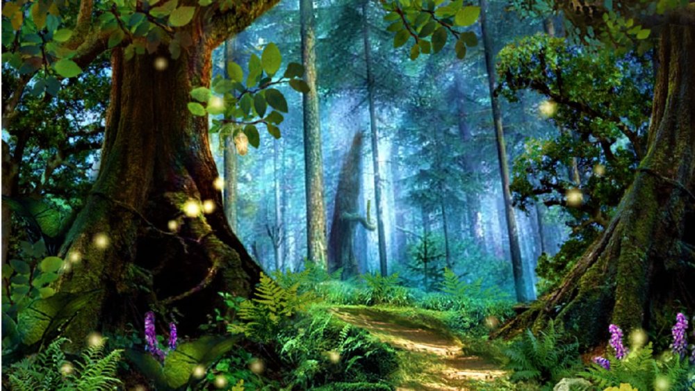 Зачарованный лес (чудесный лес) (1986)