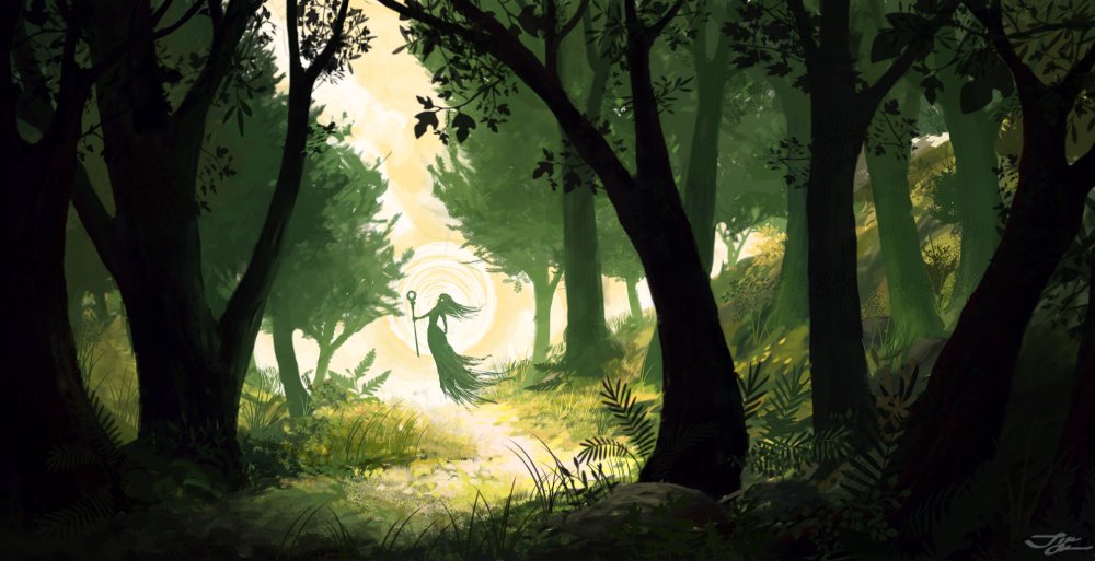 Красивый лес