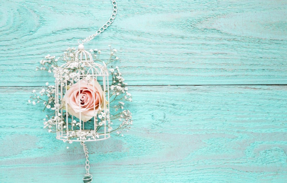 Фотофон в пастельных тонах