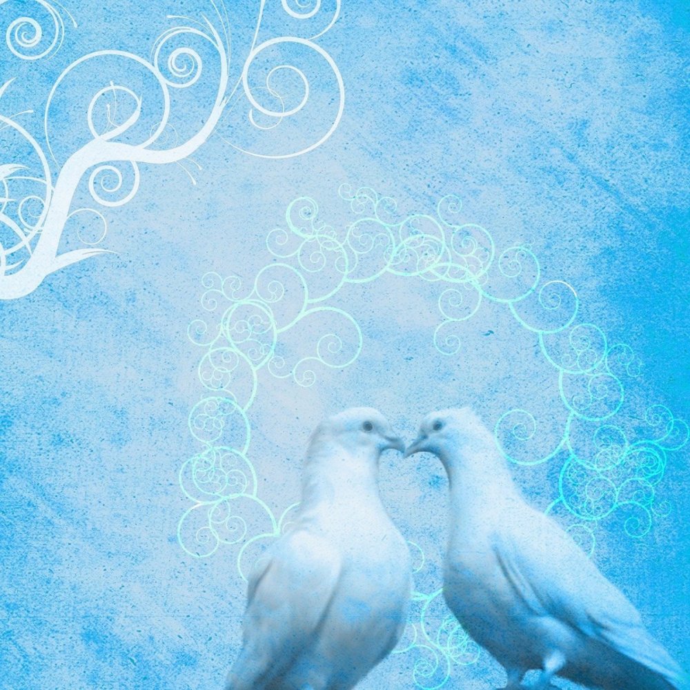Свадебный фон с голубями