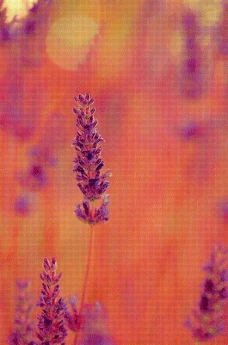 Эстетика оранжевого и фиолетового