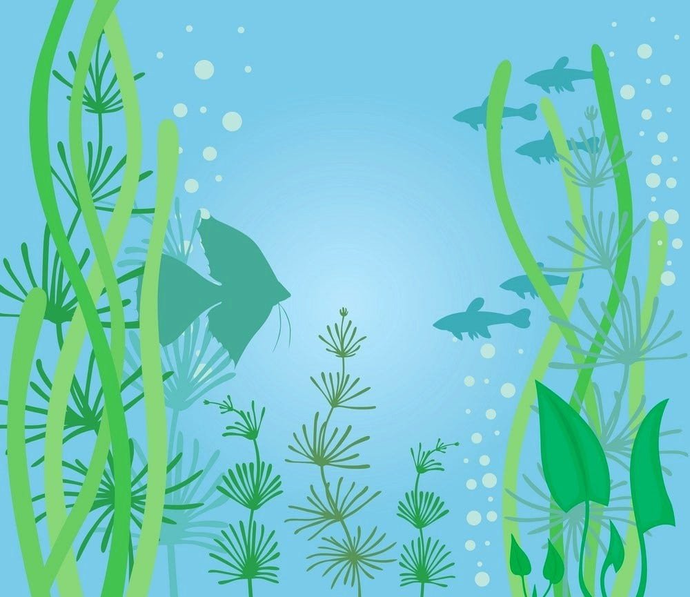 Нарисовать водоросли на стене