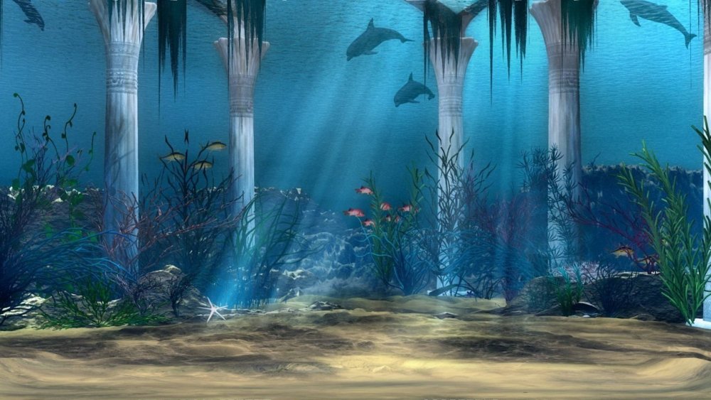Подводный пейзаж