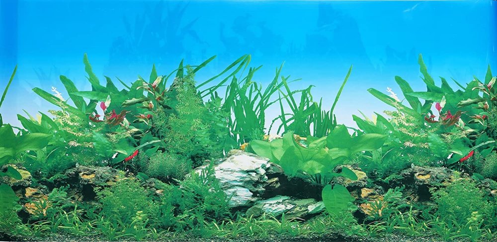 Зоомагазин фон для аквариума