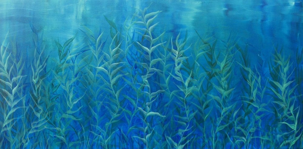 Водоросли фон