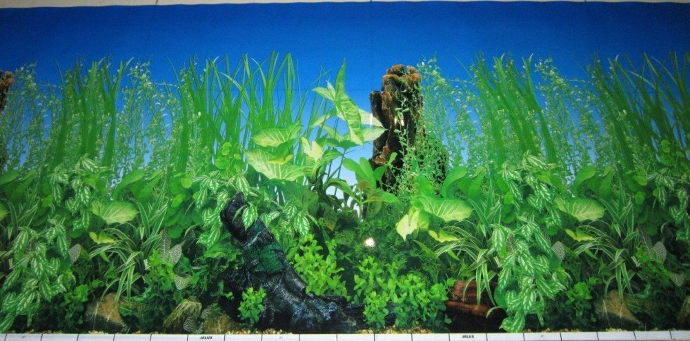 Аквариум с водорослями без рыбок