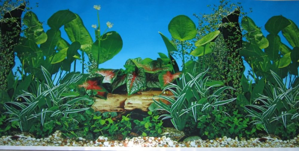 Наклейки на заднюю стенку аквариума