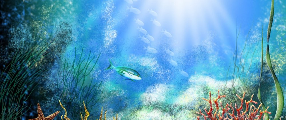 Океан под водой