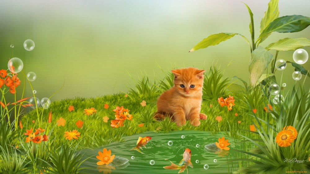 Коты Воители племя ветра