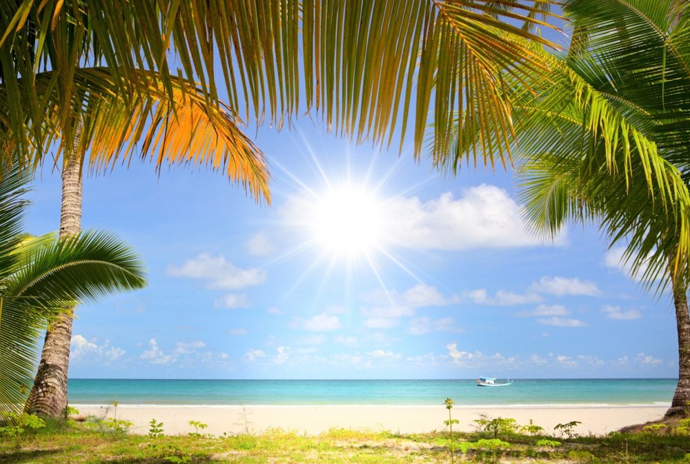 Море солнце