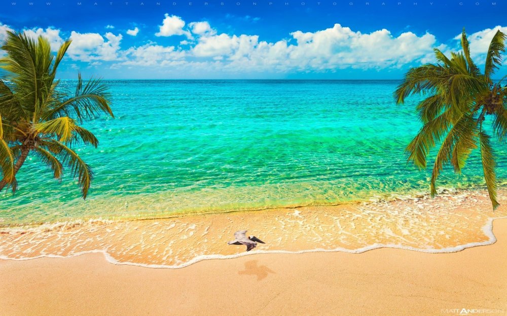 Море пальмы и песок