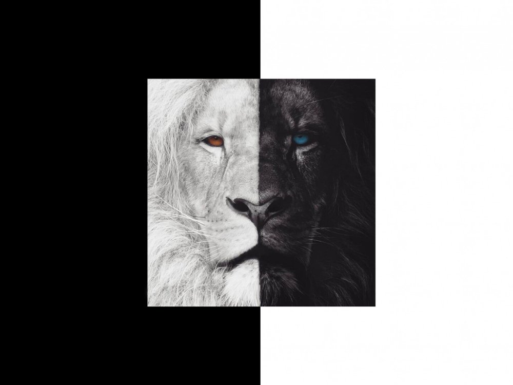 Черный Лев на дверь