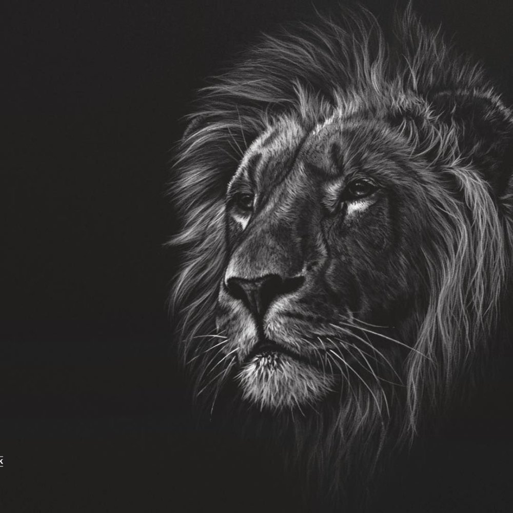 Обои на рабочий стол Лев