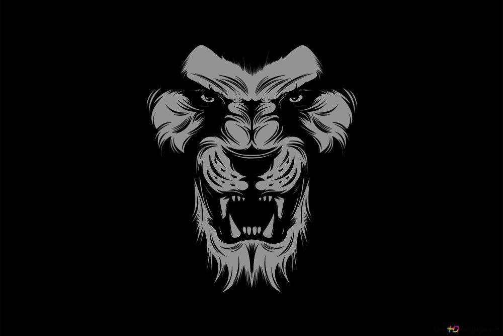 Обои Black and White