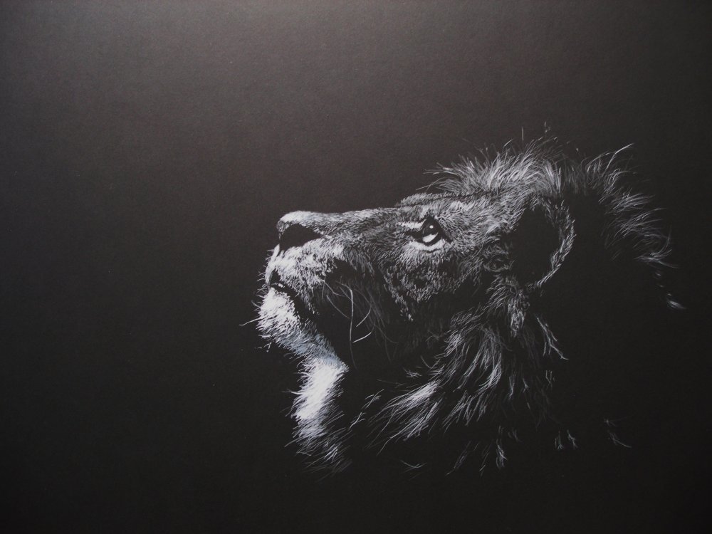 Обои на рабочий стол Лев