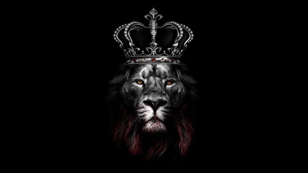 Лев на черном фоне