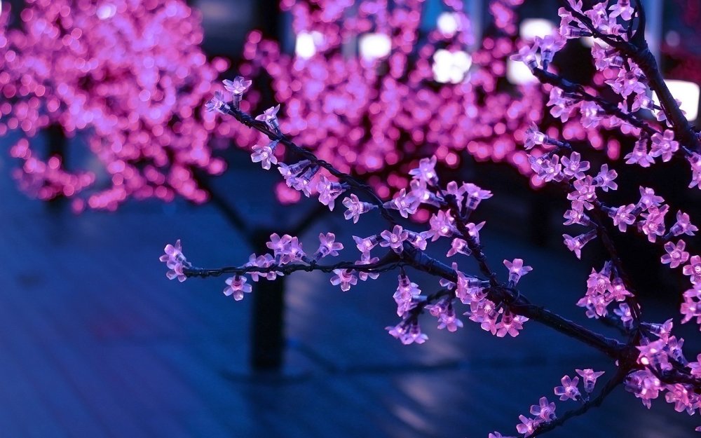 Сакура на синем фоне