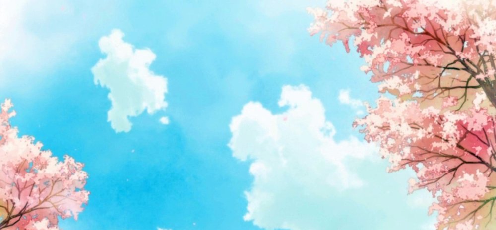 Лепестки Сакуры на фоне неба