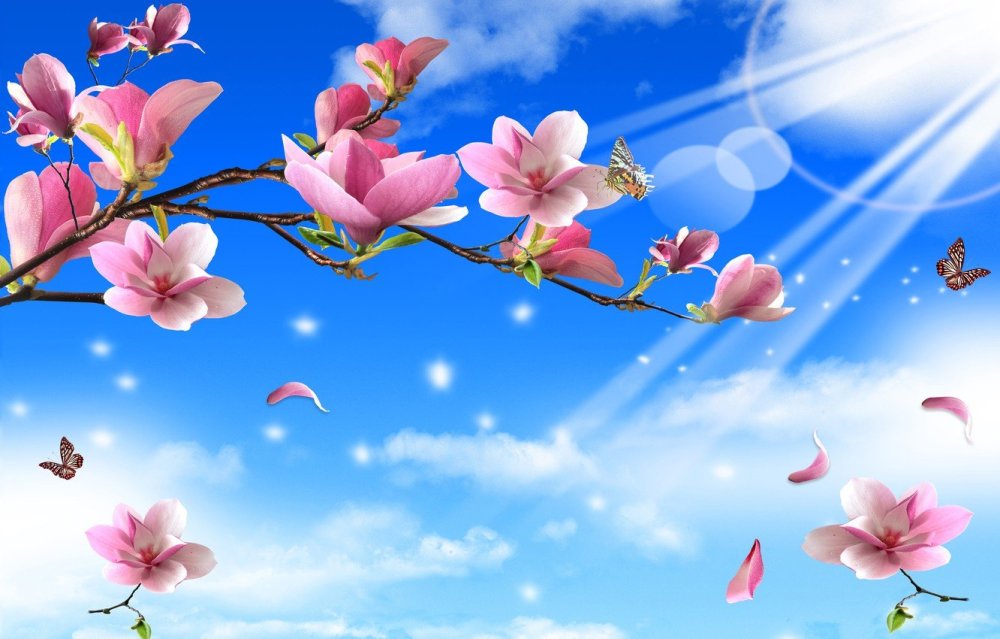 Фон с цветами