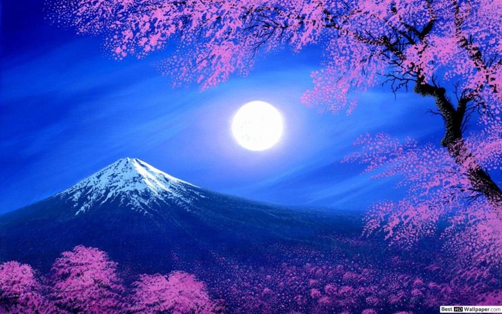 Сакура дерево и Фудзияма