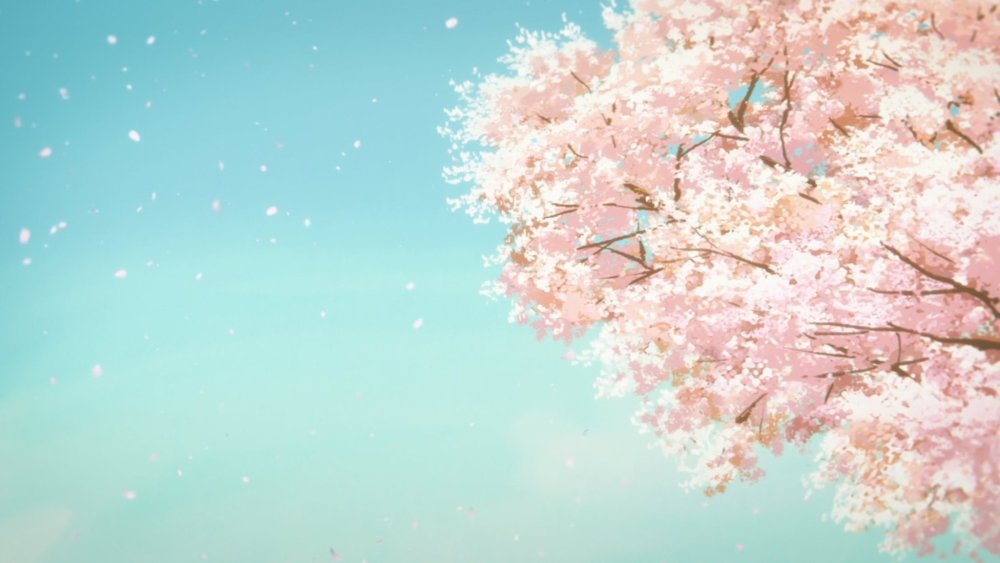 Сакура аниме