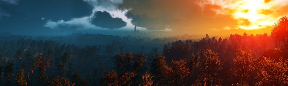 Закат панорама лес