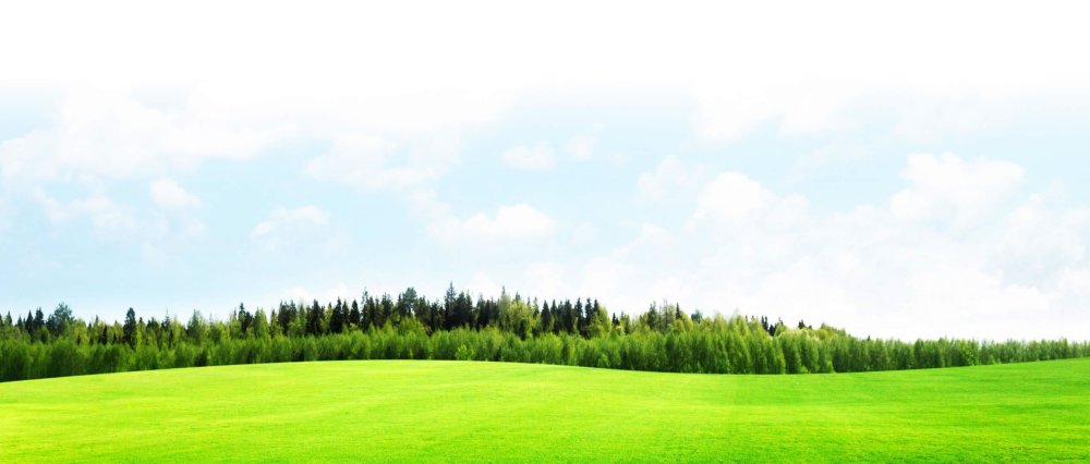 Шапка сайта