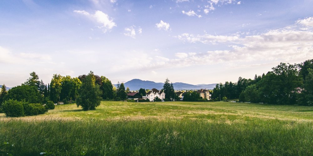 Панорама деревья для 3д Макс