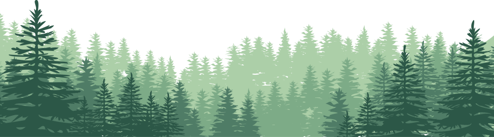 Векторное изображение леса